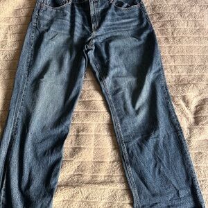 American Eagle Outfitters Blue Wide Leg Flare Jeans
